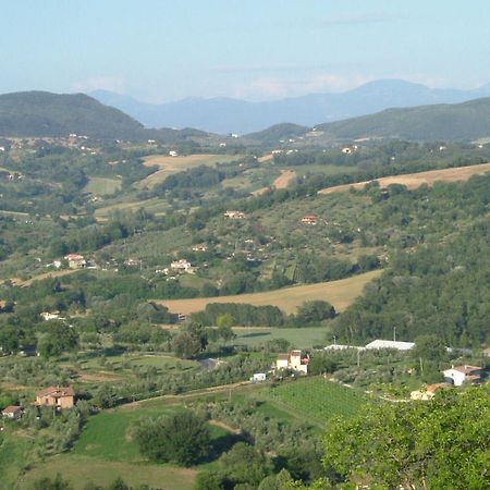 Agriturismo Poggio Della Rosa أميليا المظهر الخارجي الصورة