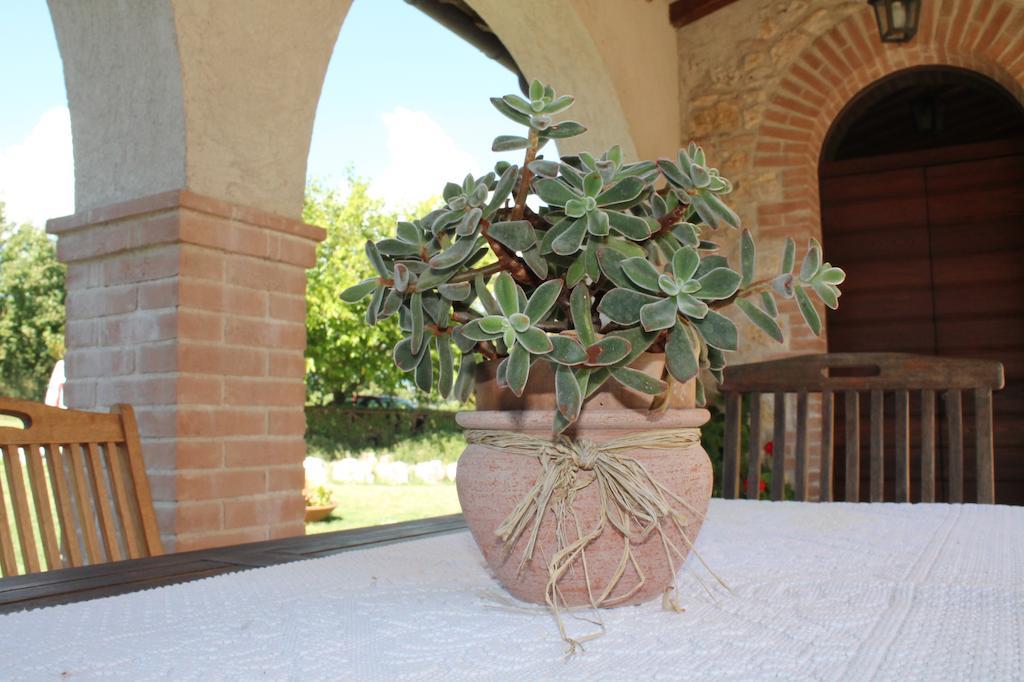 Agriturismo Poggio Della Rosa أميليا المظهر الخارجي الصورة